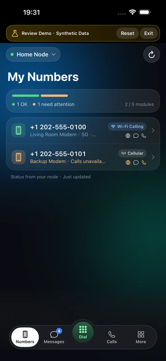 Vonode app home screen after pairing: the node and its numbers with their status (synthetic review data)